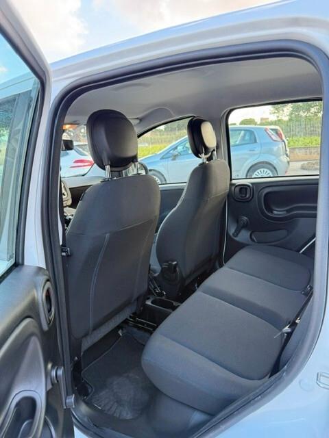 Fiat Panda Pandina 1.0 FireFly 65 CV Hybrid Icon