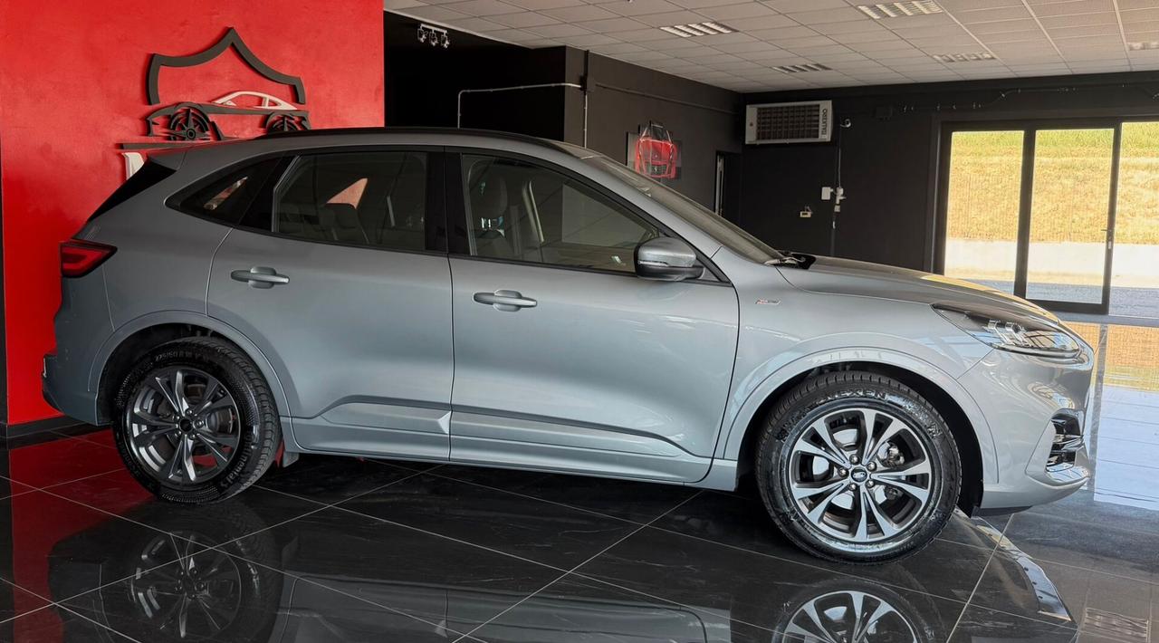 Ford Kuga 1.5 EcoBlue 120 CV aut. 2WD ST-Line X Design