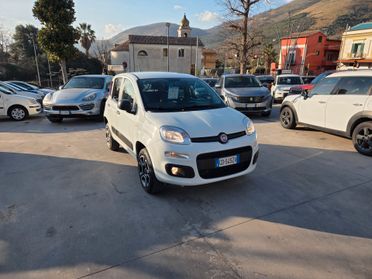 Fiat Panda 900 BENZINA S&S 4x4 - 2021 ACCESSORIATA