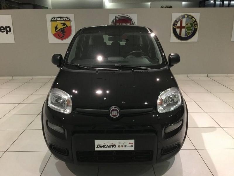 FIAT Panda Panda 1.0 FireFly S&S Hybrid Icon PROMO MESE + TARGA