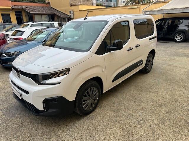 Citroen Berlingo BlueHDi 100 S&S Van M