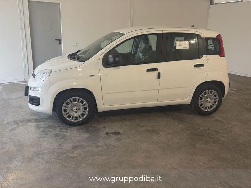 FIAT Pandina 1NA My26 1.0 65cv Hybrid Pop