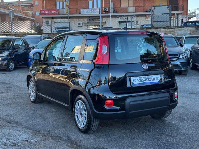FIAT Panda 1.0 FireFly S&S Hybrid *PROMO* *OK NEOPATENTATI*