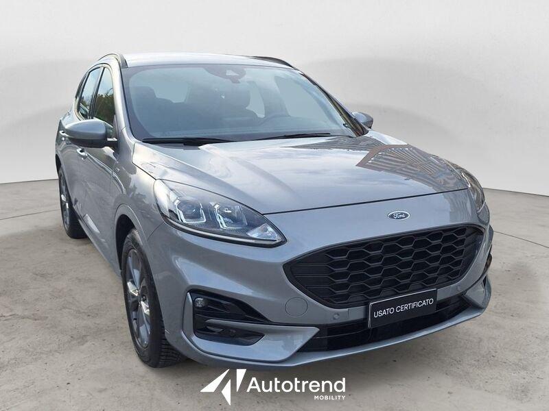 Ford Kuga 1.5 EcoBlue 120 CV Automatica ST-Line 2WD