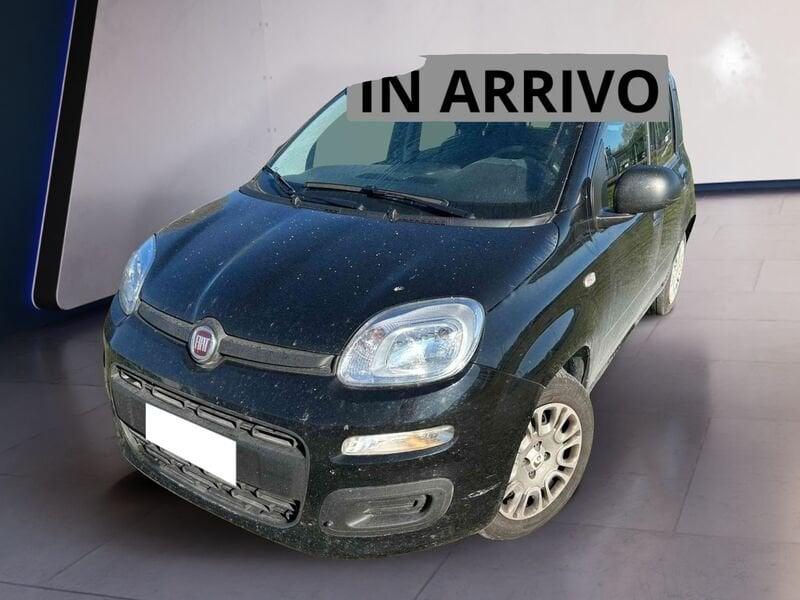 FIAT Panda Panda 1.0 FireFly 70cv S&S Hybrid