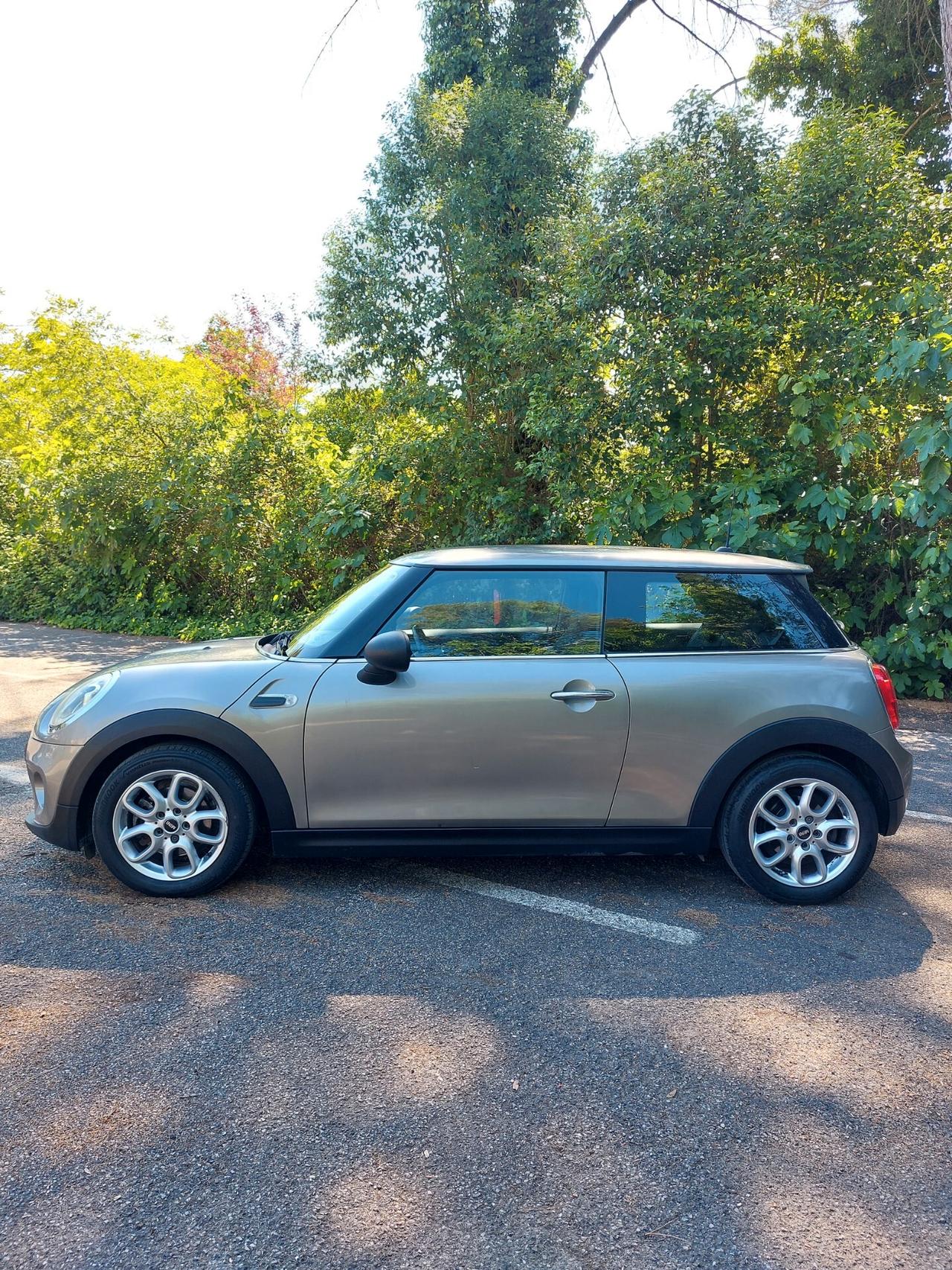 Mini One D Hype