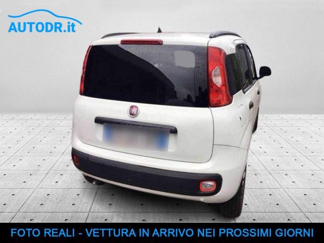 FIAT Panda VAN 1.3 MJT 4x4 80cv 2posti SENSORI KM CERTIFICATI