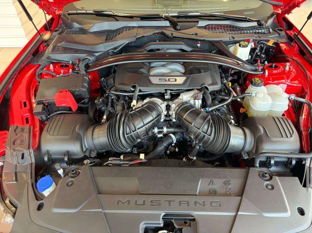 FORD Mustang Convertible GT 5.0 V8 Automatico a 10 rapporti