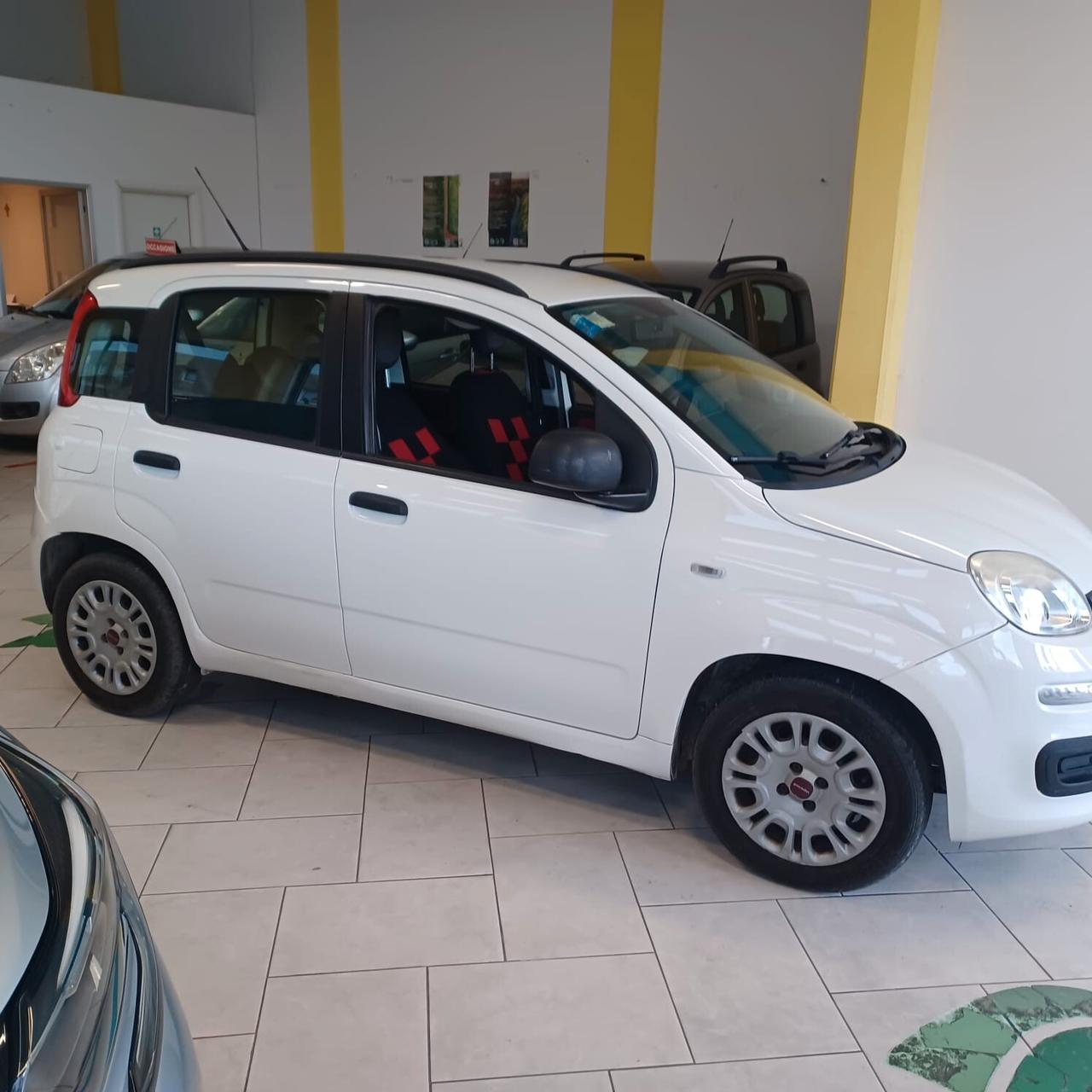 GARANZIA 12 MESI FIAT PANDA 1.2