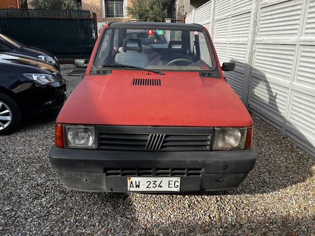 Fiat Panda 900 i.e. cat Young