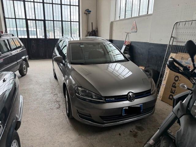 Volkswagen Golf Variant 1.4 TGI Highline BlueMotion