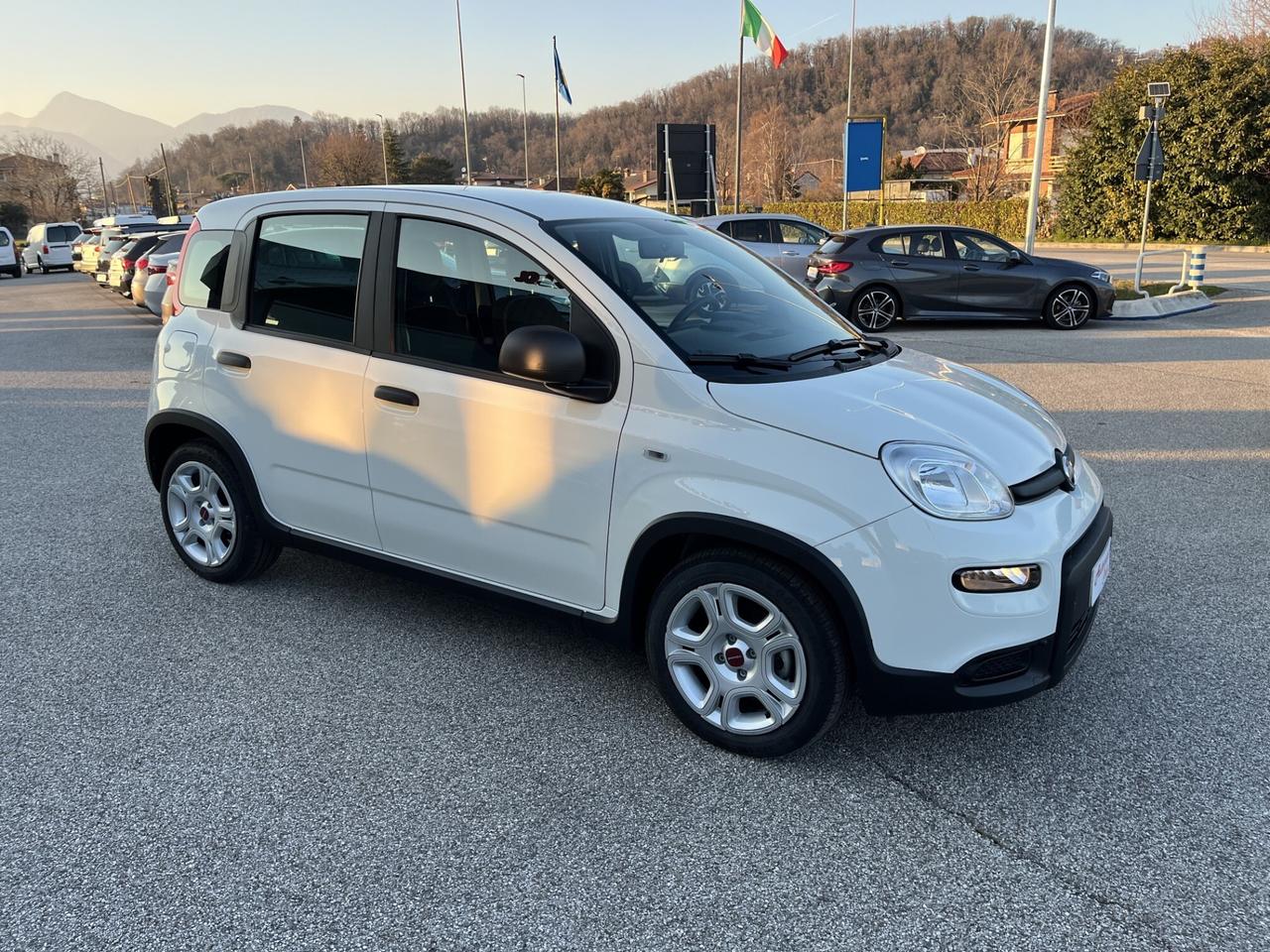 FIAT PANDA 1000 CC 70 CV FIREFLY