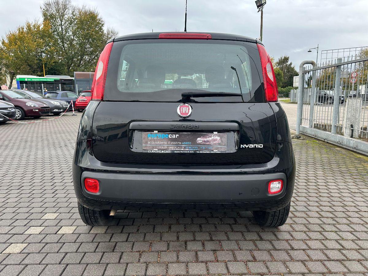FIAT - Panda - 1.0 FireFly S&S Hybrid Easy