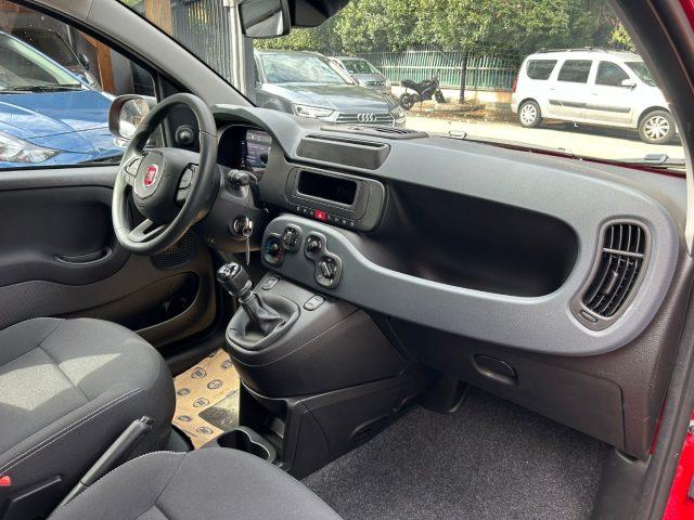 FIAT Panda 1.0 FireFly S&S *PREZZO PROMO*