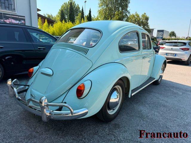 VOLKSWAGEN Maggiolino maggiolino