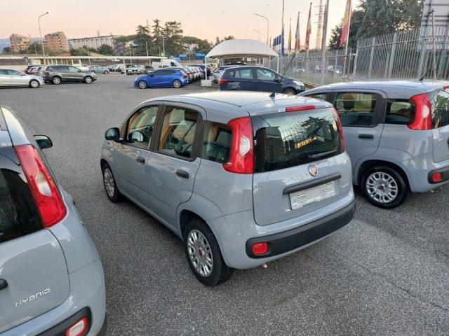 FIAT Panda 1.0 FireFly S&S Hybrid Uniprò Poss.legge 104