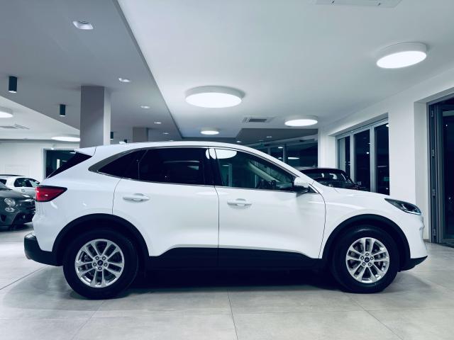 Ford Kuga 1.5 ecoblue Titanium 2wd 120cv