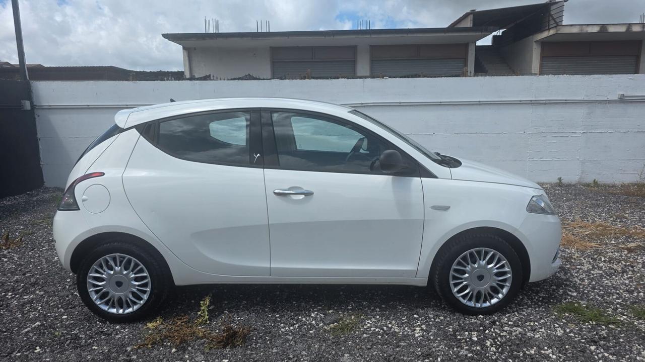 Lancia Ypsilon 1.2 69 CV 5 porte Platinum