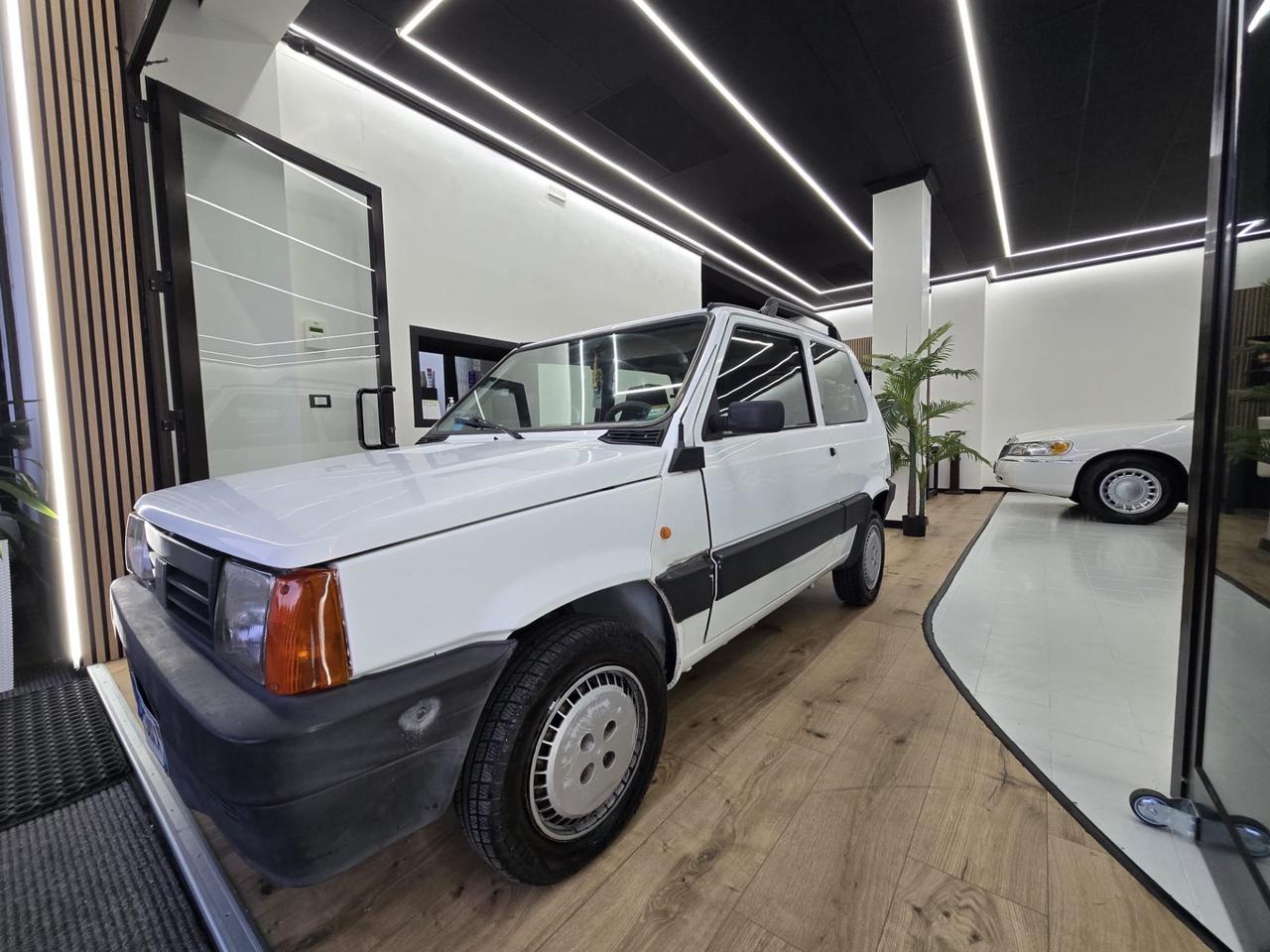 Fiat Panda 1100 i.e. cat Young