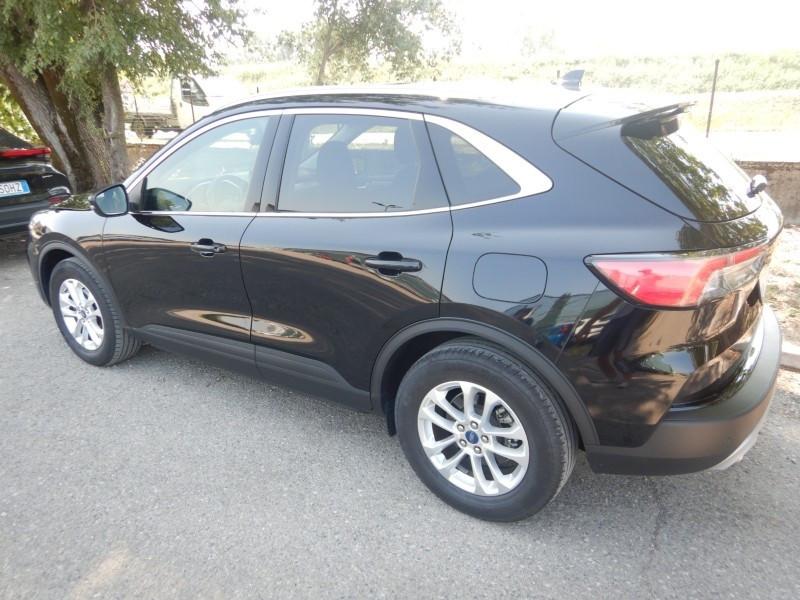 Ford Kuga 1.5 EcoBlue 120 CV 2WD Titanium