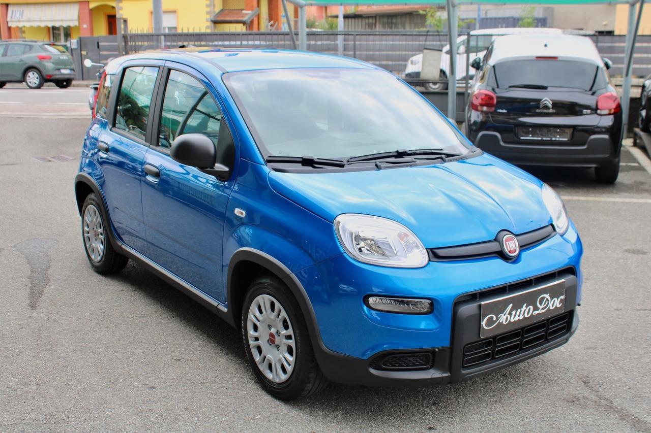 FIAT PANDA 1.0 FIREFLY S&S HYBRID CITY LIFE BLUETOOTH CLIMA