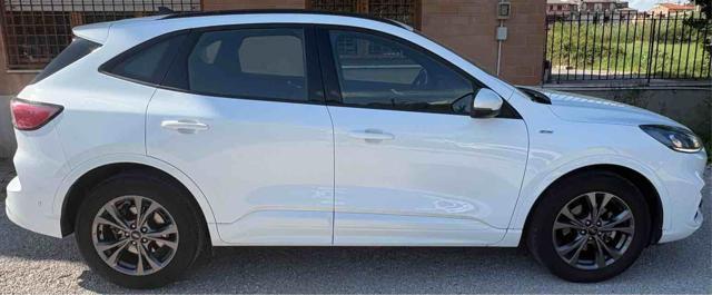 FORD Kuga 2.5 Full Hybrid 190 CV CVT 2WD ST-Line