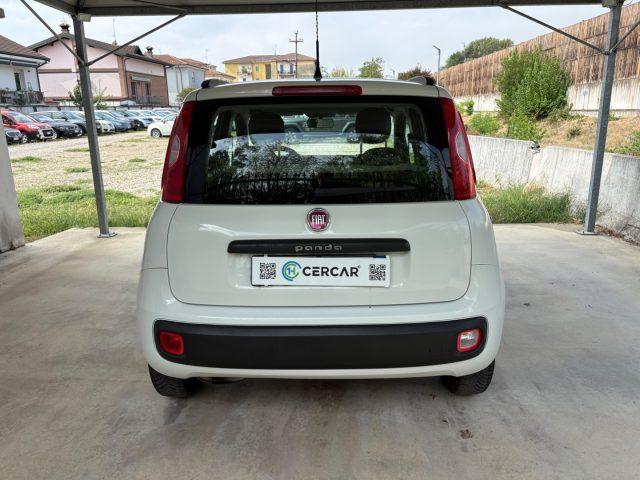 FIAT Panda 1.2 Easy EURO 5 BENZ OK NEOPATENTATI PRONTA CONS.