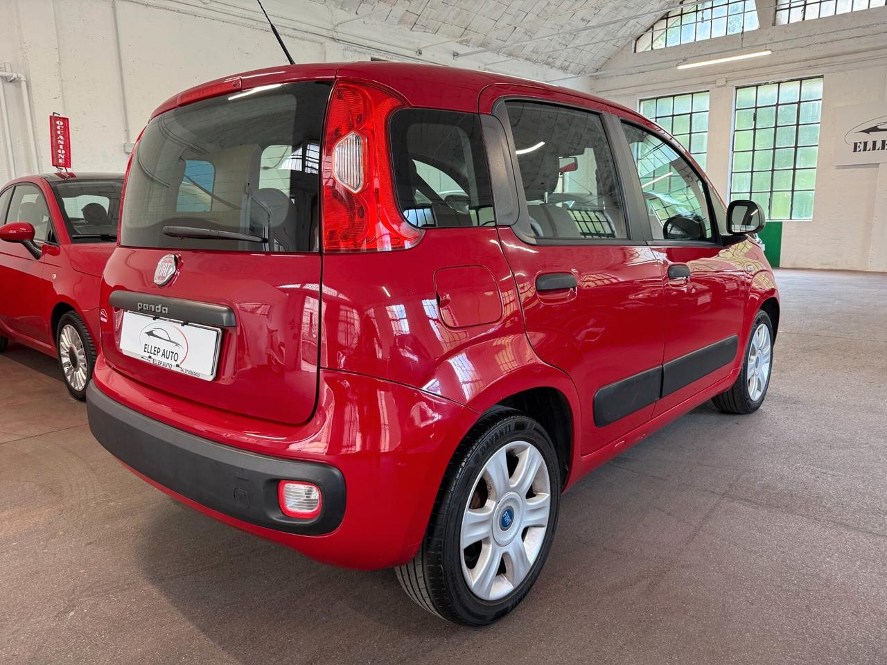 Fiat Panda 1.2 OK NEOPATENTATI - CINGHIA OK