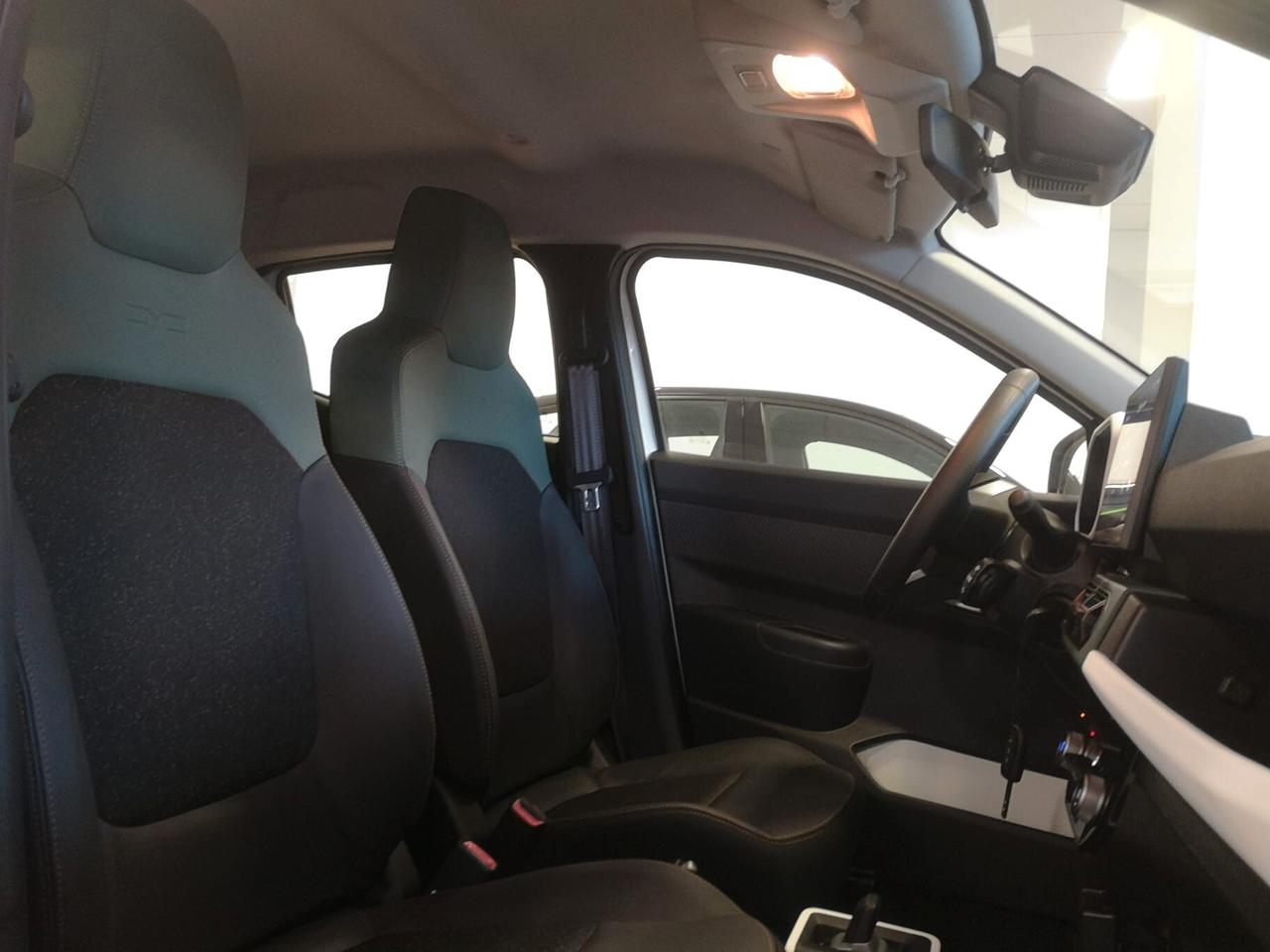 DACIA Spring Business Full-Electric 65 KM0 Nuova