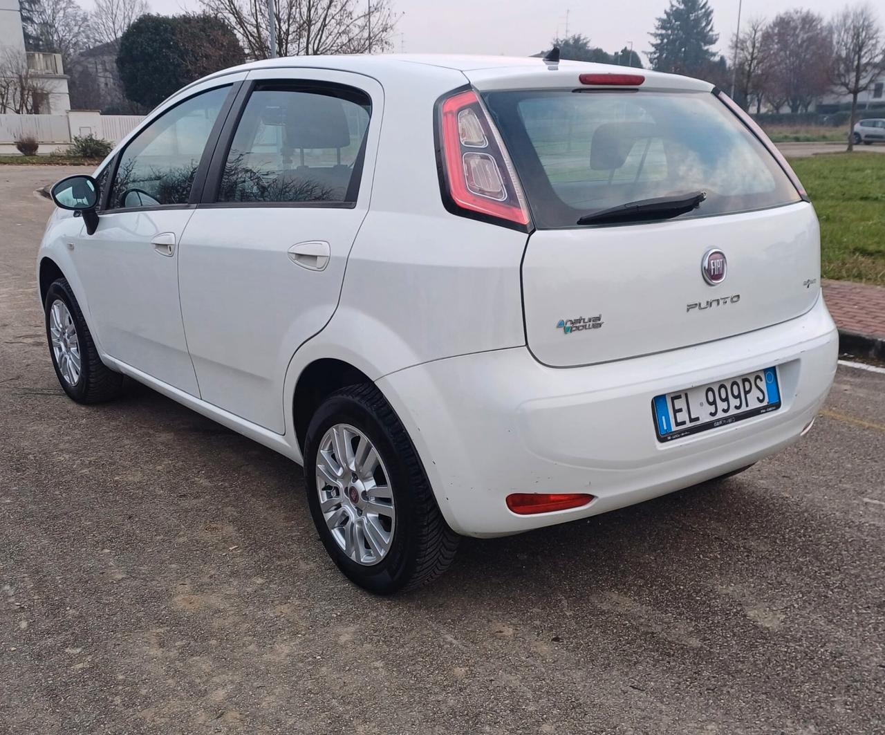 Fiat Punto Evo Punto Evo 1.4 5 porte Active Natural Power