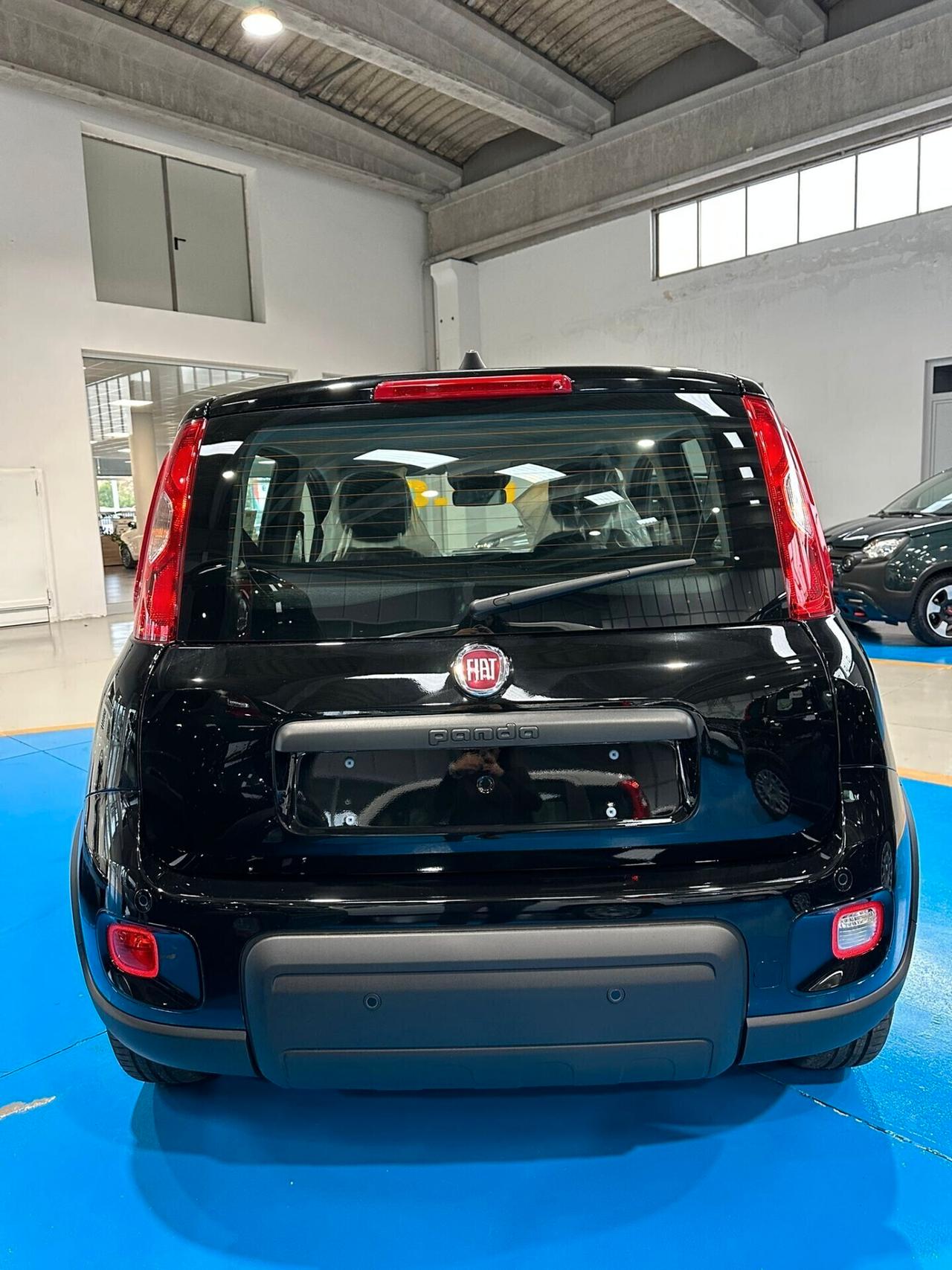 FIAT panda NUOVA PANDINA KM 0 2024