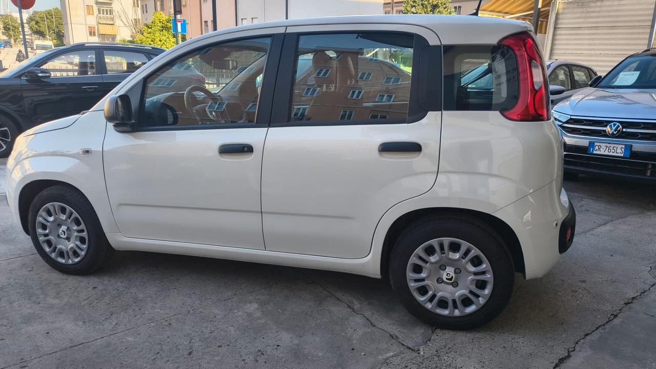 Fiat Panda 1.0 FireFly S&S Hybrid Pandina