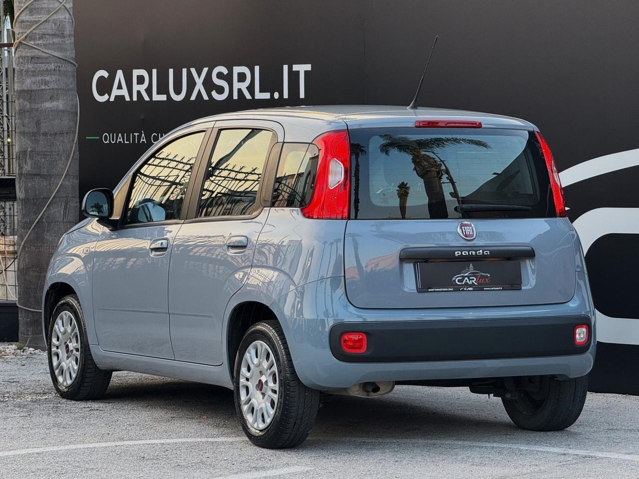 Fiat Panda 1.2 Easy S 69CV | IVA ESPOSTA