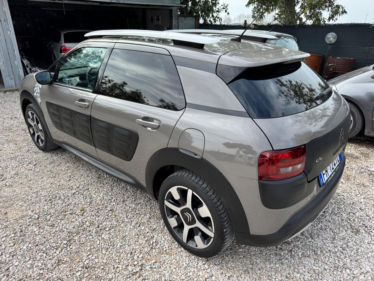 Citroen C4 Cactus BlueHDi 100 Rip Curl