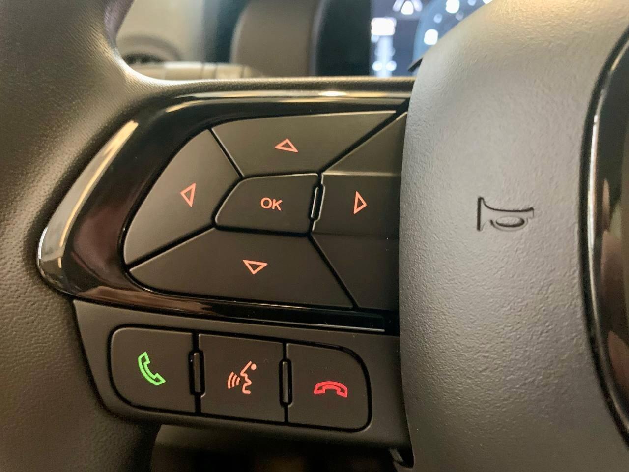 Fiat Panda 1.0 FireFly S&S Hybrid Pandina *PREZZO PROMO*