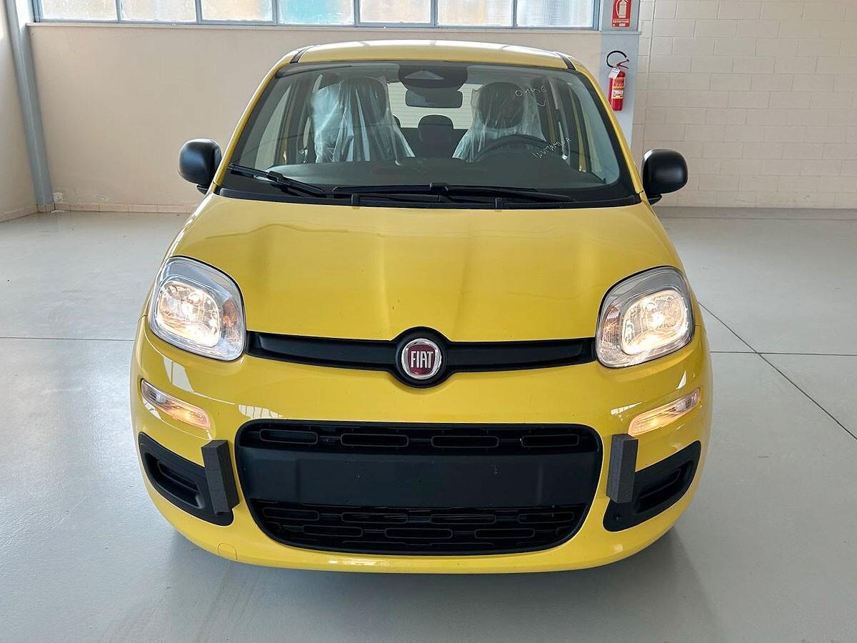 Fiat Panda Pandina 1.0 FireFly 65 CV Hybrid Icon