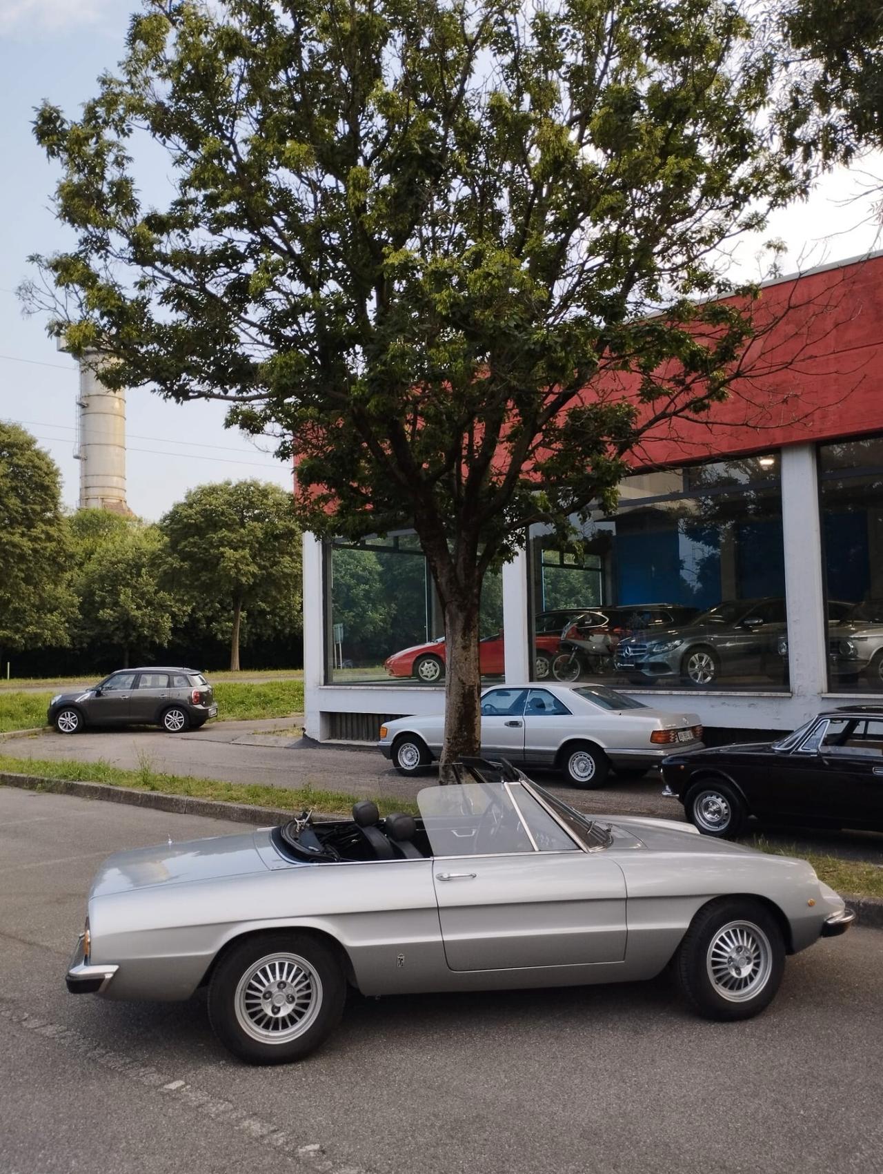 ALFA ROMEO DUETTO CODA TRONCA 1600