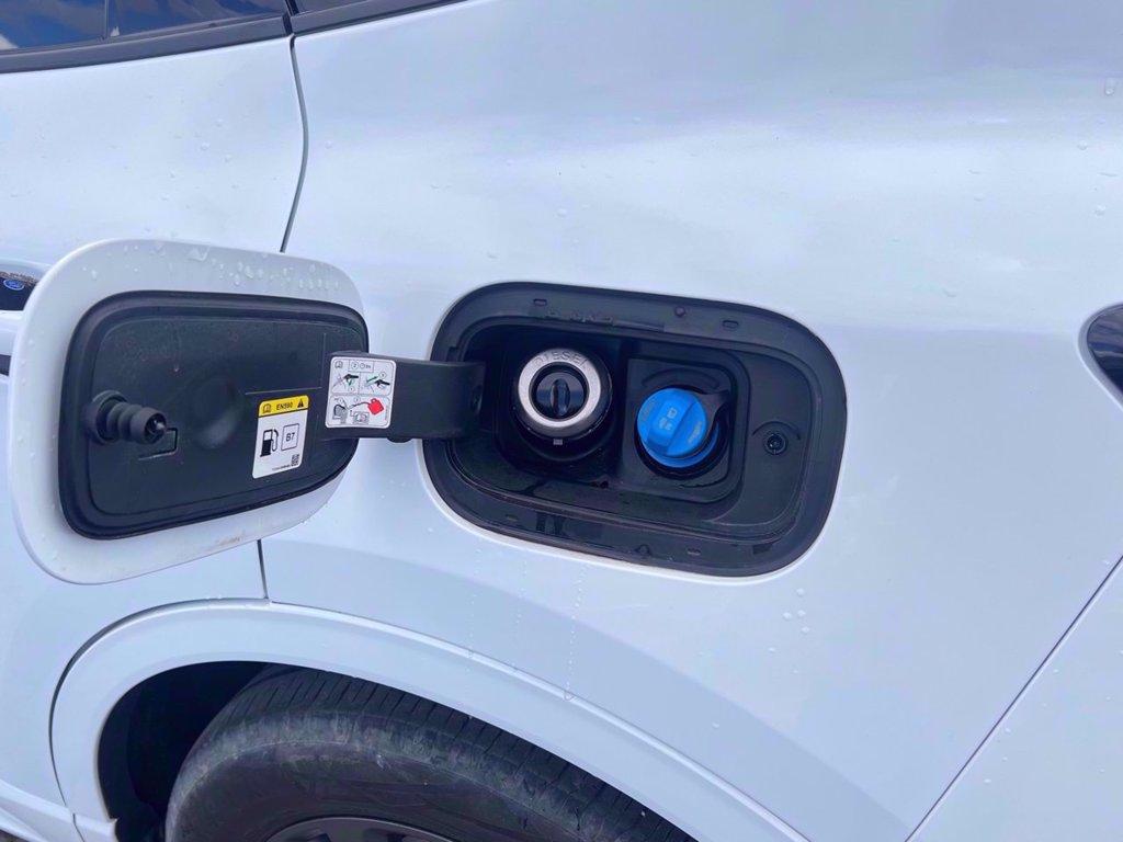 FORD Kuga 2.0 ecoblue mhev ST-Line 2wd 150cv del 2022