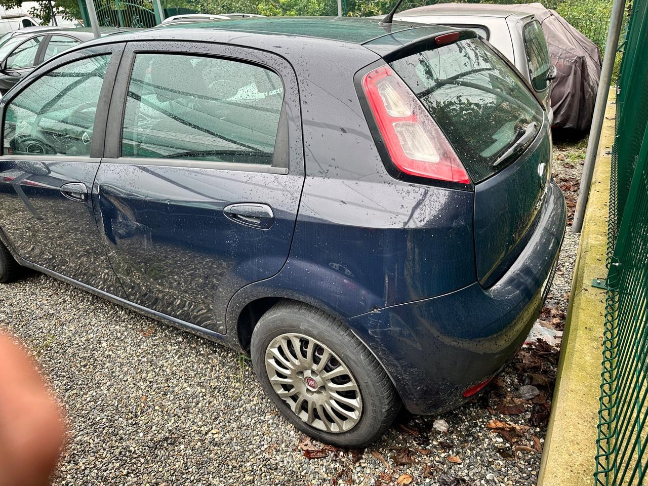 Fiat Punto Evo 1.3 MJT 75 CV 5 porte Lounge