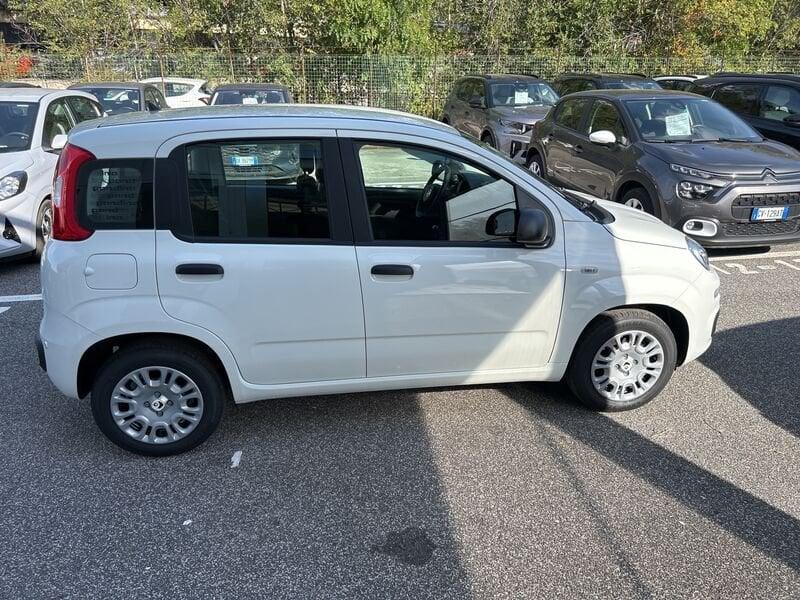 FIAT Panda New 1.0 70cv Hybrid Pop