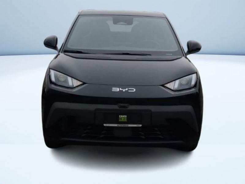 BYD Dolphin Surf Active