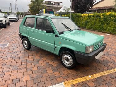 Fiat Panda 1100 i.e. cat Young
