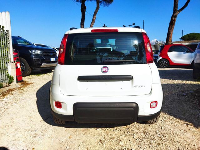 FIAT New Panda 1.0cc HYBRID CITY LIFE 70cv
