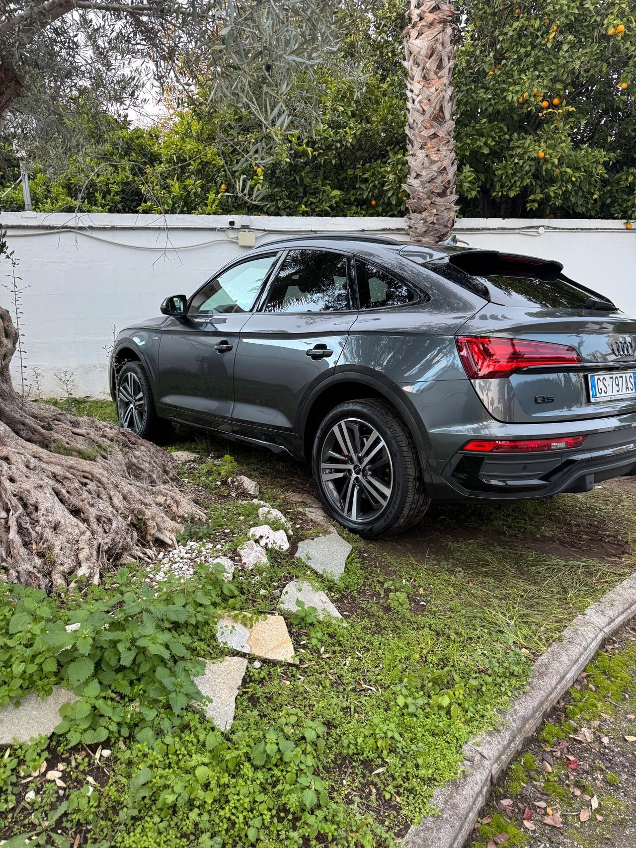 Audi Q5 SPB 50 TDI quattro tiptronic S line plus