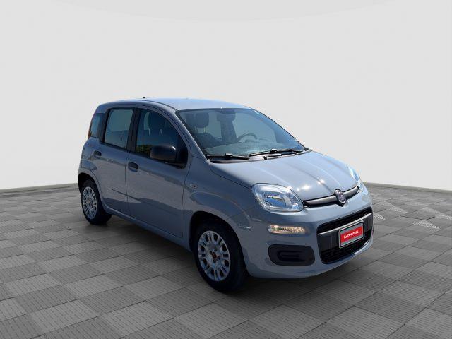 FIAT Panda Panda 1.0 FireFly Hybrid