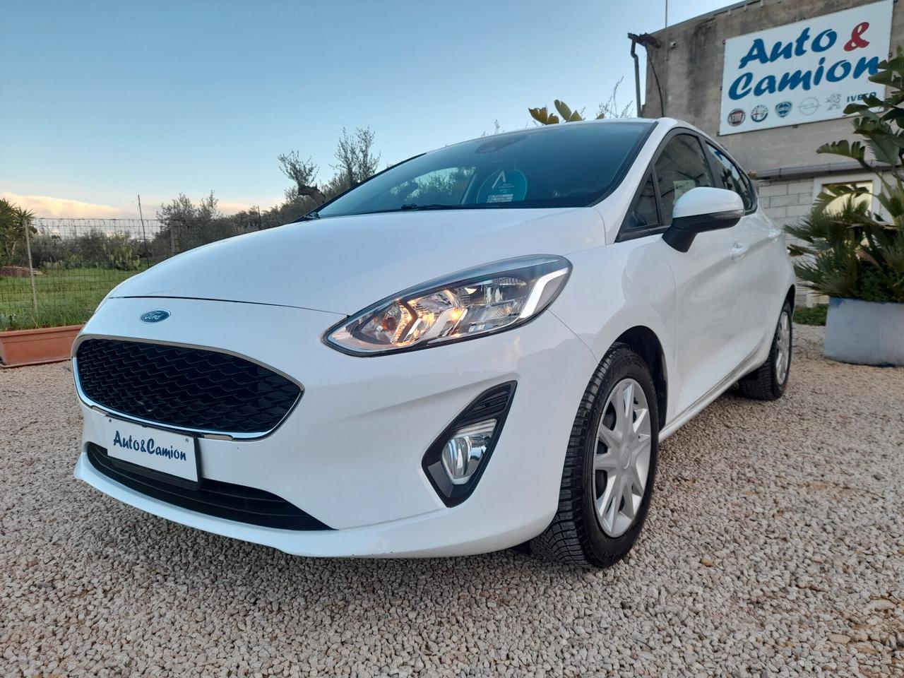Ford Fiesta 1.5 EcoBlue 5 porte Connect Anno 2020