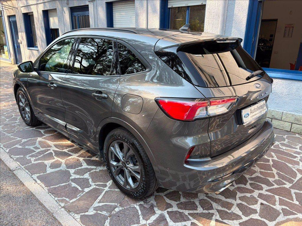 FORD Kuga 1.5 ecoblue ST-Line X 2wd 120cv auto del 2023