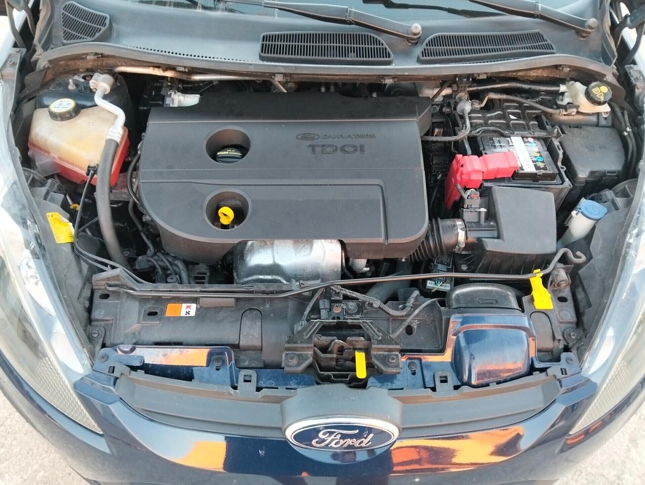 Ford Fiesta 1.4 TDCi 70CV 5 porte Titanium