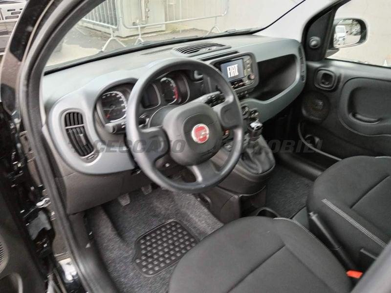 FIAT Panda Panda 1.0 firefly hybrid s&s 70cv