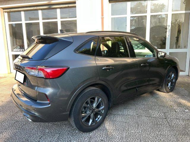 FORD Kuga 1.5 EcoBlue 120 CV 2WD ST-Line